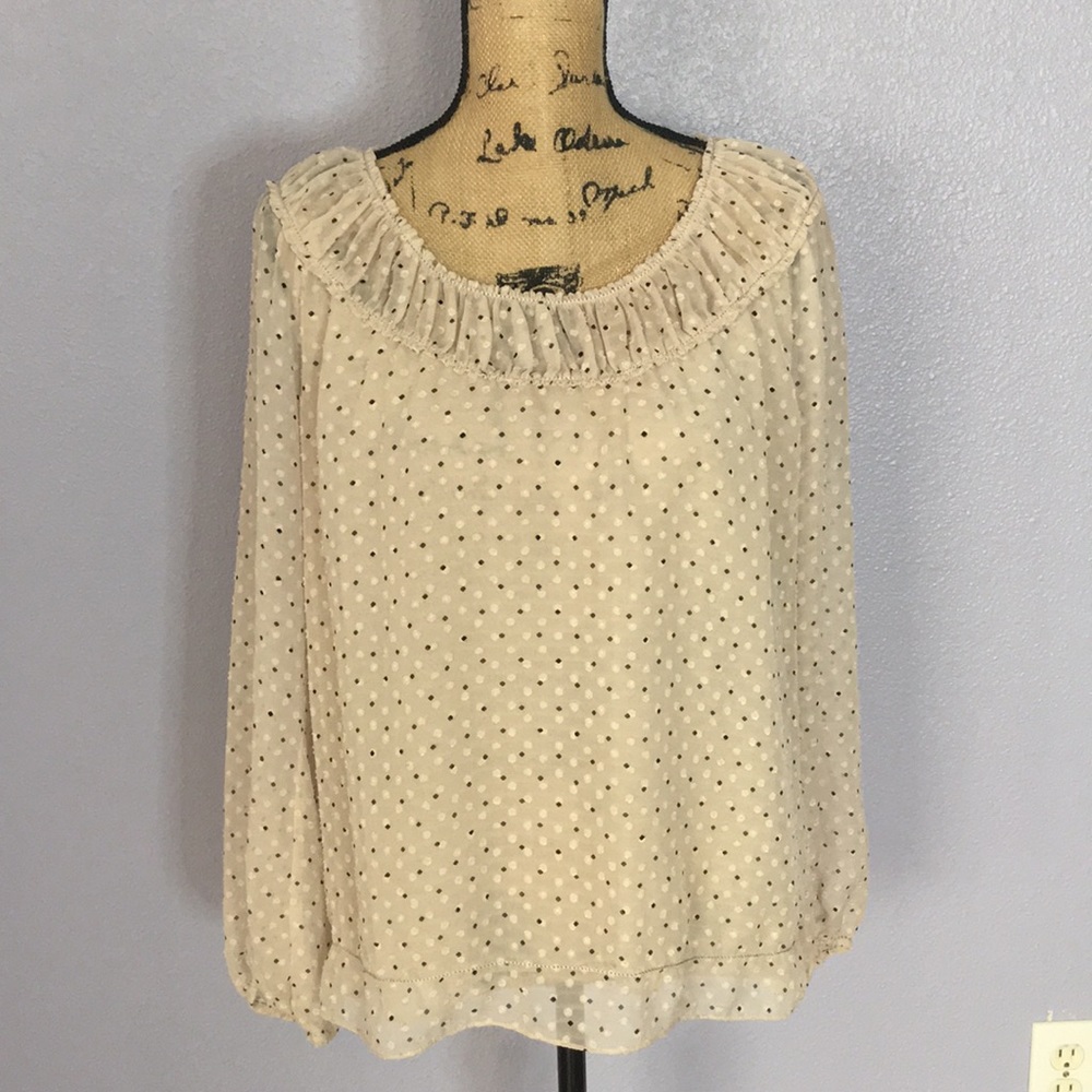 Studio M Top